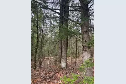 0 Old North Road, West Gardiner, ME 04345 - Photo 3