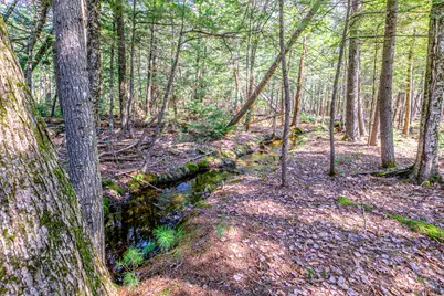 121 Shore Road, Sebago, ME 04029 - Photo 61