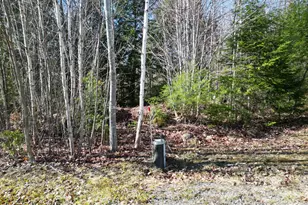 31 Burnham Rd, Burlington, ME 04417 - Photo 21