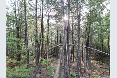 22 Sugarbush Lane, Lee, ME 04455 - Photo 9