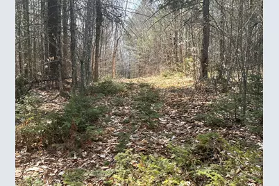 Lot 2 Filaroska Road, New Sharon, ME 04955 - Photo 9