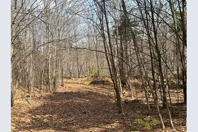 Lot 2 Filaroska Road, New Sharon, ME 04955 - Photo 11