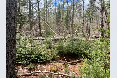 20 Skyscraper Hill Road, Brooks, ME 04921 - Photo 7