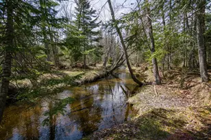 461 4 Mile Square Rd, Anson, ME 04911 - Photo 3