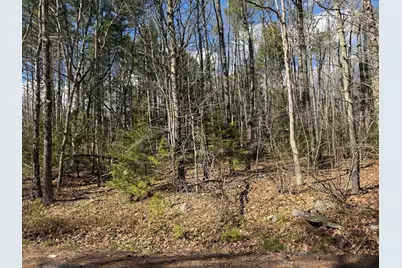 Lot 44 -A, Windham, ME 04062 - Photo 9