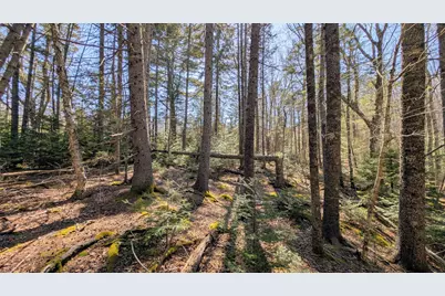 201 Milbridge Road, Cherryfield, ME 04622 - Photo 41