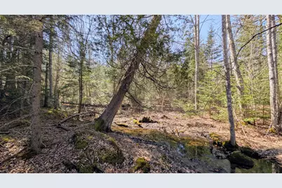 201 Milbridge Road, Cherryfield, ME 04622 - Photo 43