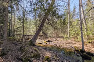 201 Milbridge Rd, Cherryfield, ME 04622 - Photo 43