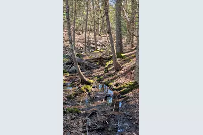 201 Milbridge Road, Cherryfield, ME 04622 - Photo 39