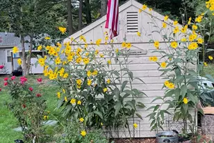 18 Appletree Ln, Wells, ME 04090 - Photo 29