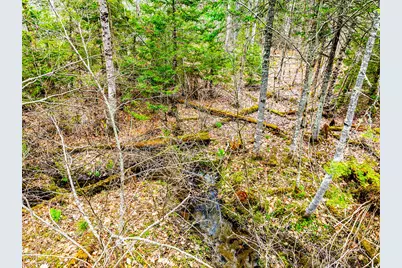 616 Slab City Road, Lincolnville, ME 04849 - Photo 41