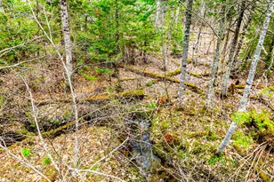 616 Slab City Rd, Lincolnville, ME 04849 - Photo 41