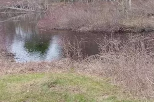 725 Water St, Newfield, ME 04095 - Photo 17
