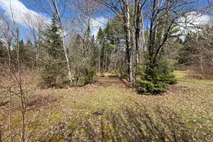 848 Bancroft Rd, Weston, ME 04424 - Photo 9