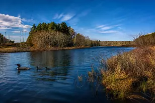 190 Somerville Rd, Jefferson, ME 04348 - Photo 7