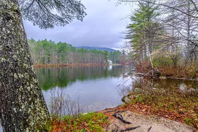 95 Schrader Drive, Denmark, ME 04022 - Photo 87