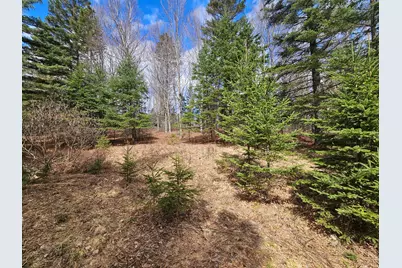 Lot 9 Amber Road, Rangeley, ME 04970 - Photo 3