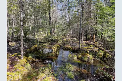 M92L2-1 Route 1A, Ellsworth, ME 04605 - Photo 21
