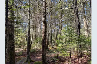M92L2-1 Route 1A, Ellsworth, ME 04605 - Photo 17