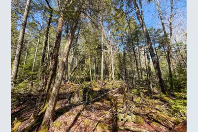 M92L2-1 Route 1A, Ellsworth, ME 04605 - Photo 15