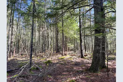 M92L2-1 Route 1A, Ellsworth, ME 04605 - Photo 13