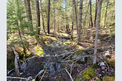 Lot #4 Turkey Cove Road, Saint George, ME 04860 - Photo 3