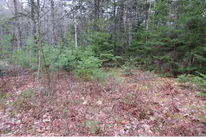 23 Porcupine Road, Sullivan, ME 04664 - Photo 15
