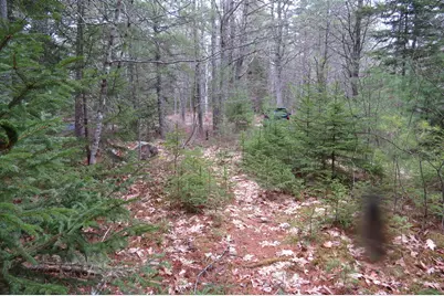 23 Porcupine Road, Sullivan, ME 04664 - Photo 13