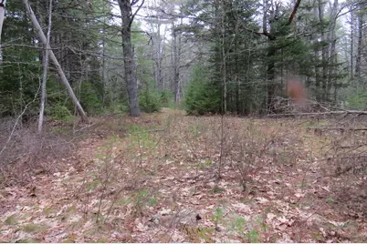 23 Porcupine Road, Sullivan, ME 04664 - Photo 11