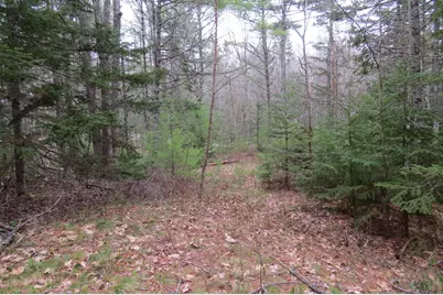 23 Porcupine Road, Sullivan, ME 04664 - Photo 7