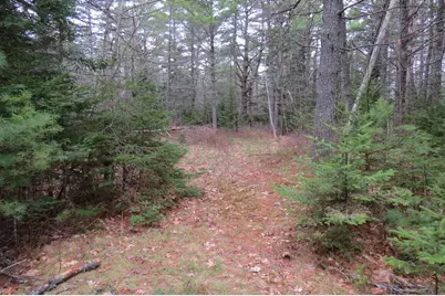 23 Porcupine Road, Sullivan, ME 04664 - Photo 5