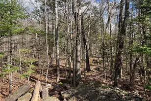 23 Tory Hill Rd, Phillips, ME 04966 - Photo 33