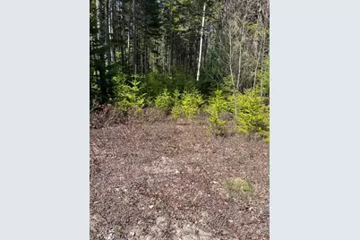37 Missy Way, Steuben, ME 04680 - Photo 1