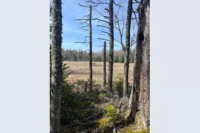 37 Missy Way, Steuben, ME 04680 - Photo 5