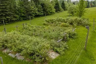 394 Frenchs Mills Rd, Sangerville, ME 04479 - Photo 79