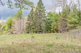 394 Frenchs Mills Rd, Sangerville, ME 04479 - Photo 101