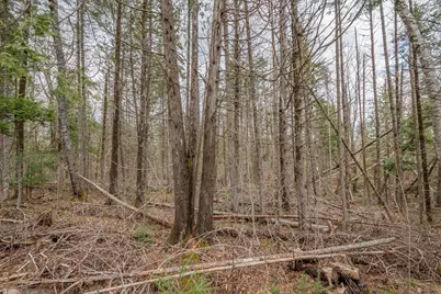 394 Frenchs Mills Road, Sangerville, ME 04479 - Photo 97