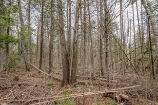 394 Frenchs Mills Rd, Sangerville, ME 04479 - Photo 97