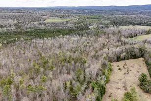 394 Frenchs Mills Rd, Sangerville, ME 04479 - Photo 89
