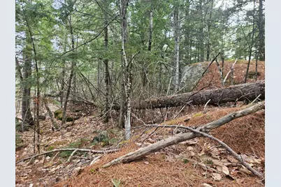 Map 4-47 Merrill Road, Willimantic, ME 04443 - Photo 41