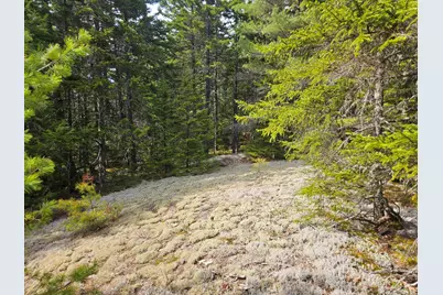 Map 4-47 Merrill Road, Willimantic, ME 04443 - Photo 33