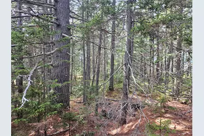 Map 4-47 Merrill Road, Willimantic, ME 04443 - Photo 35