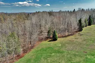 217 Campbell Rd, New Limerick, ME 04761 - Photo 69
