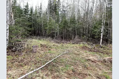 #27 Hayes Drive, Harmony, ME 04942 - Photo 5