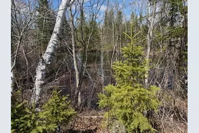 389 Dudley Road, Castle Hill, ME 04757 - Photo 7