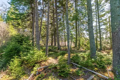 840 Cutler Rd. Road, Machiasport, ME 04655 - Photo 3