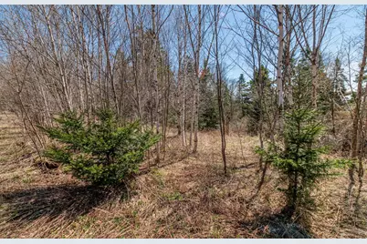 840 Cutler Rd. Road, Machiasport, ME 04655 - Photo 5