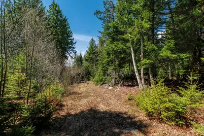 840 Cutler Rd. Road, Machiasport, ME 04655 - Photo 9