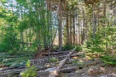 840 Cutler Rd. Road, Machiasport, ME 04655 - Photo 7