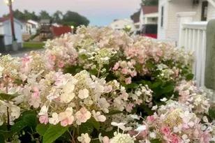 1139 Post Rd, Wells, ME 04090 - Photo 39